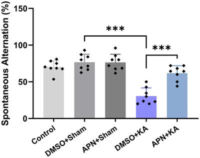 Alpha-pinene moderates memory impairment induced by kainic acid via improving the BDNF/TrkB/CREB signaling pathway in rat hippocampus